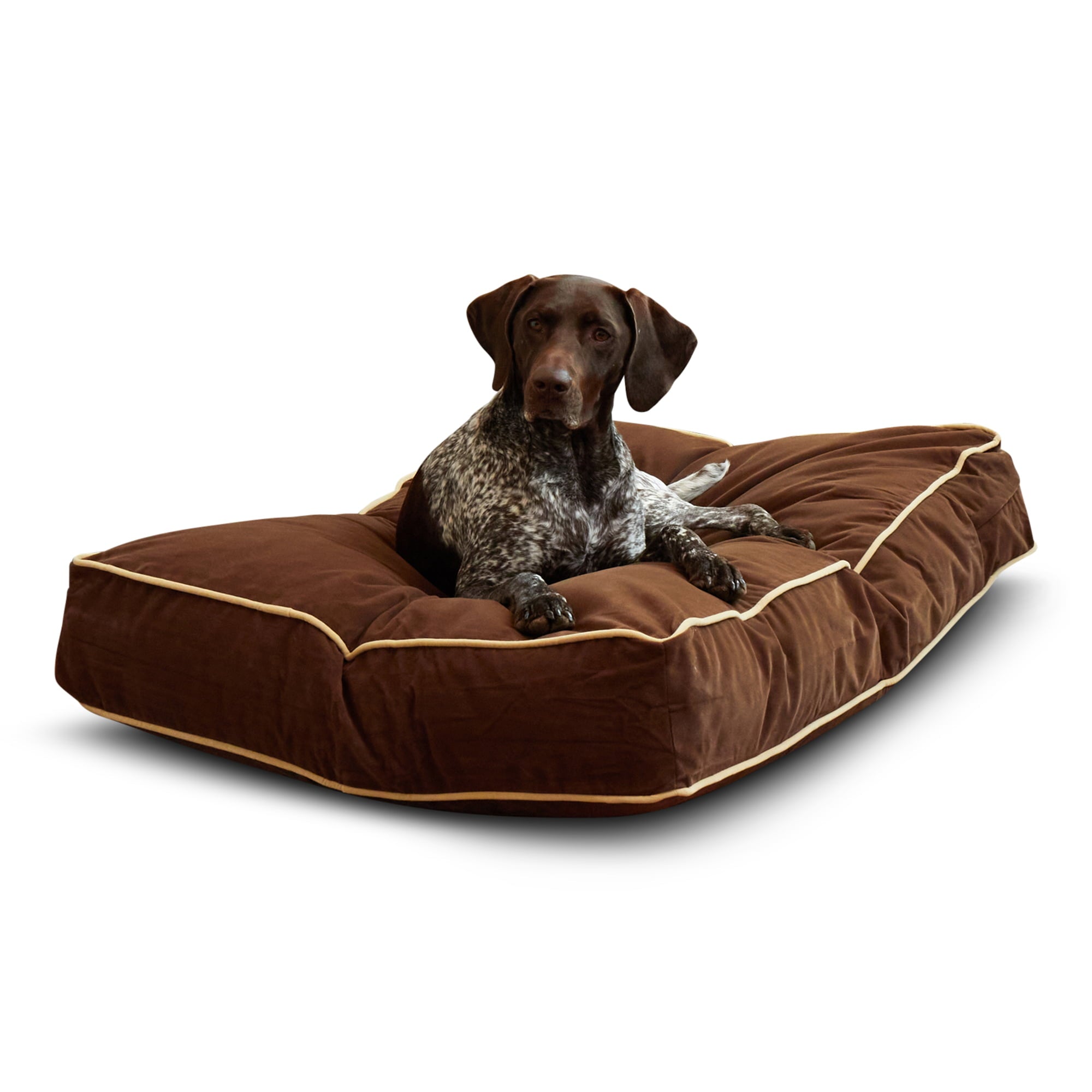 Happy Hounds Buster Rectangle Pillow Style Dog Bed， Cocoa， Medium (42 x 30 in.)