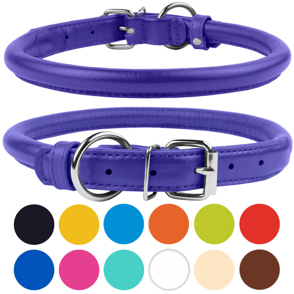 CollarDirect Rolled Leather Dog Collar for Small Dogs， Purple