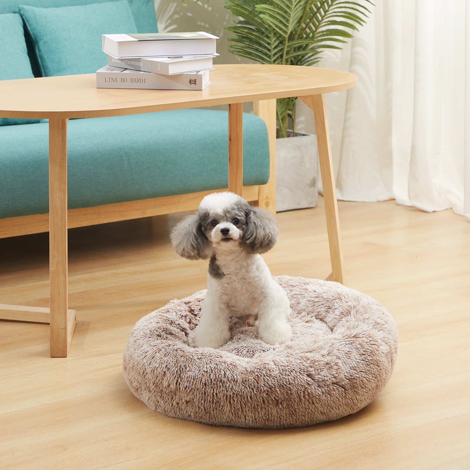 Bedfolks Calming Donut Dog Cat Cuddler Bed， 23