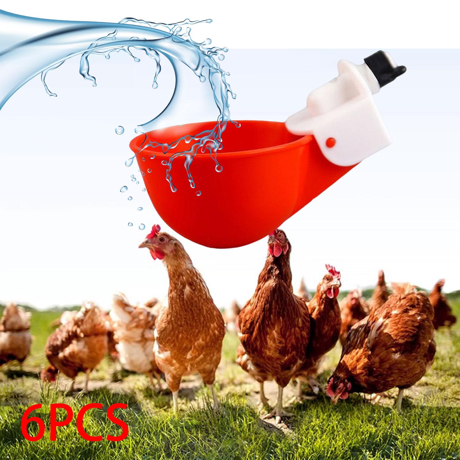 6x Chicken Water Cups Feeder Tools Chicken Feeder Cup for Quail Chick Coop Goose Red