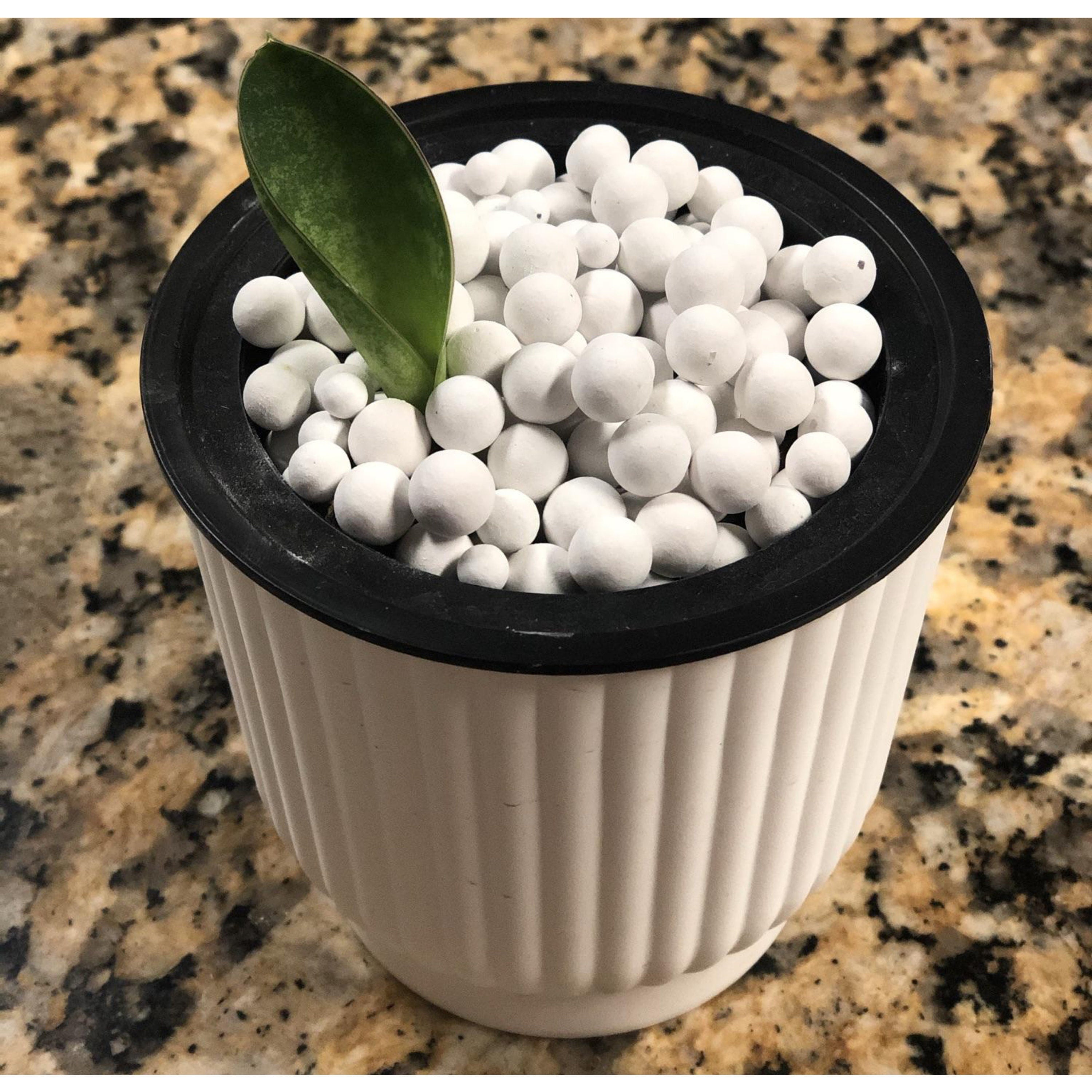 1 lb Pink Colors Ceramsite Hydroponics LECA Soil Less Semi Hydro Growing Environment - Flourishing Venture