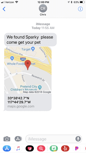 Blue Frog Track N Guard Protective GPS Tracking Dog Collar， Rose Gold， Large