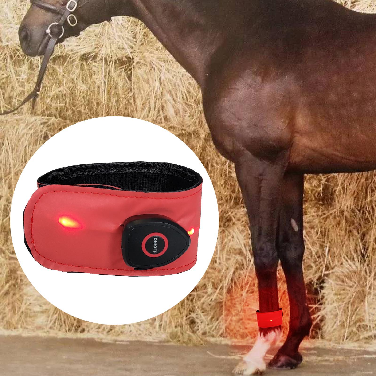 Set of 2 Reflective Horse Ankle Straps Belt Supply for Riding Jumping at Night