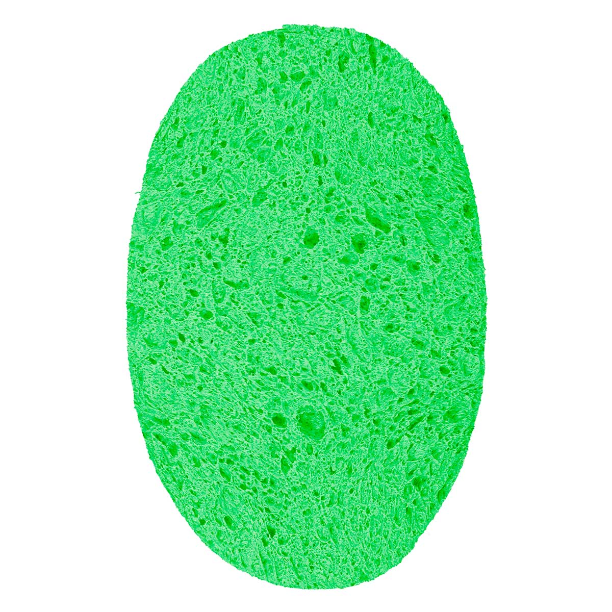 Esponja de Celulose Corporal Organica