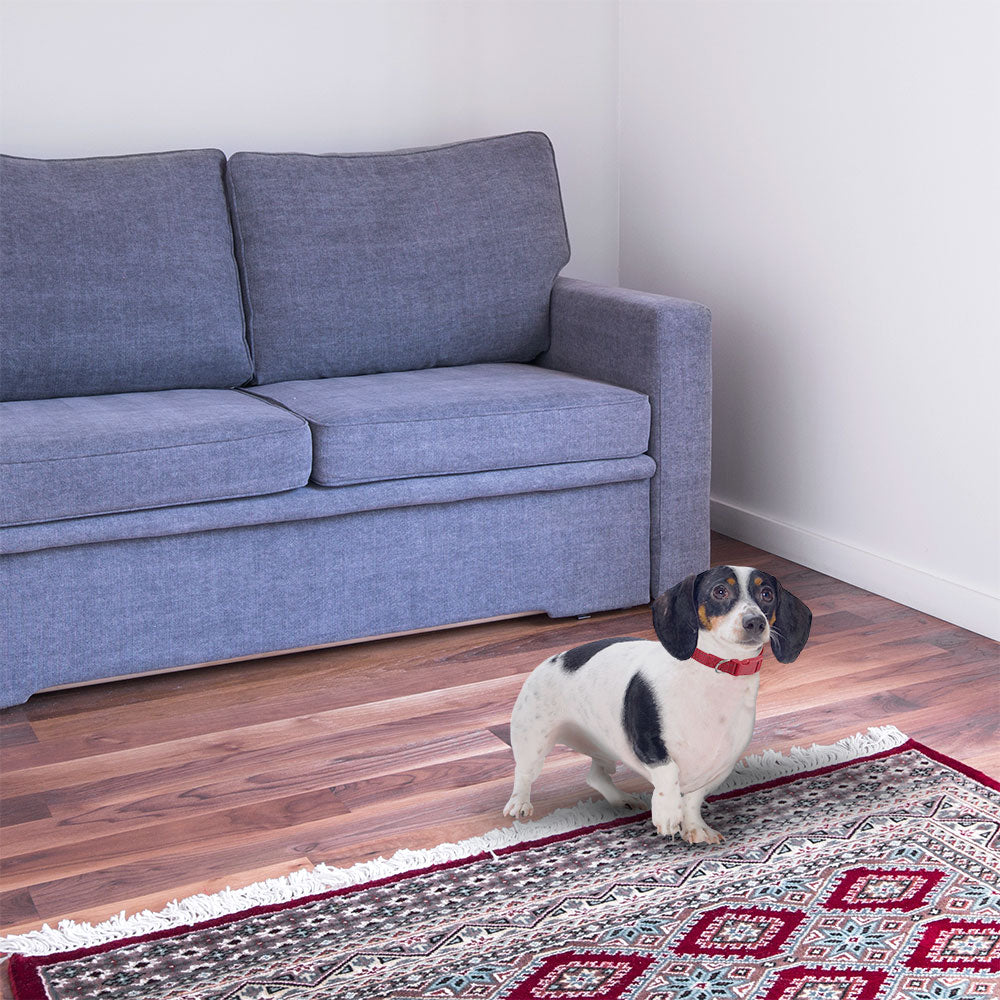 BrybellyHoldings ACLR-004 Small Adjustable Reflective Dog Collar - Pink