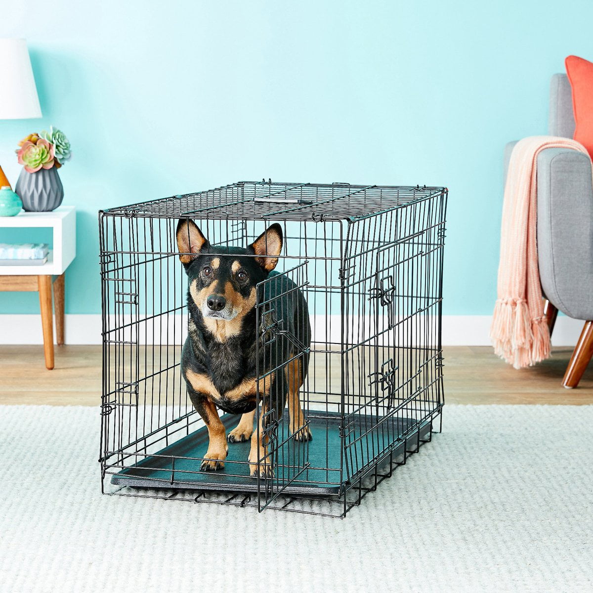 generic Dog Crate with Tray and Double Door (30-inch) (Medium)