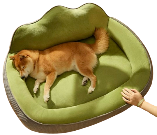 Orthopedic Dog Bed | Washable Anti-Slip Velvet Bed for Small & Large Pets