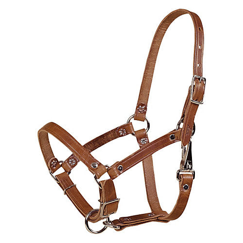 Tory Safety Rivet Foal Leather Halter with Snap