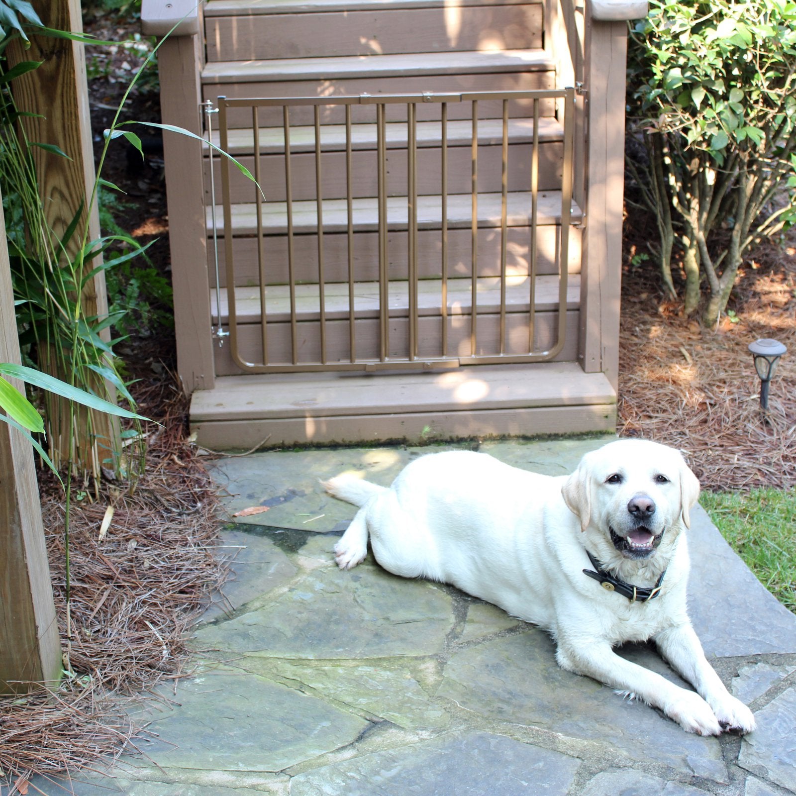 Cardinal Gates Outdoor Stairway Safety， 27-42.5