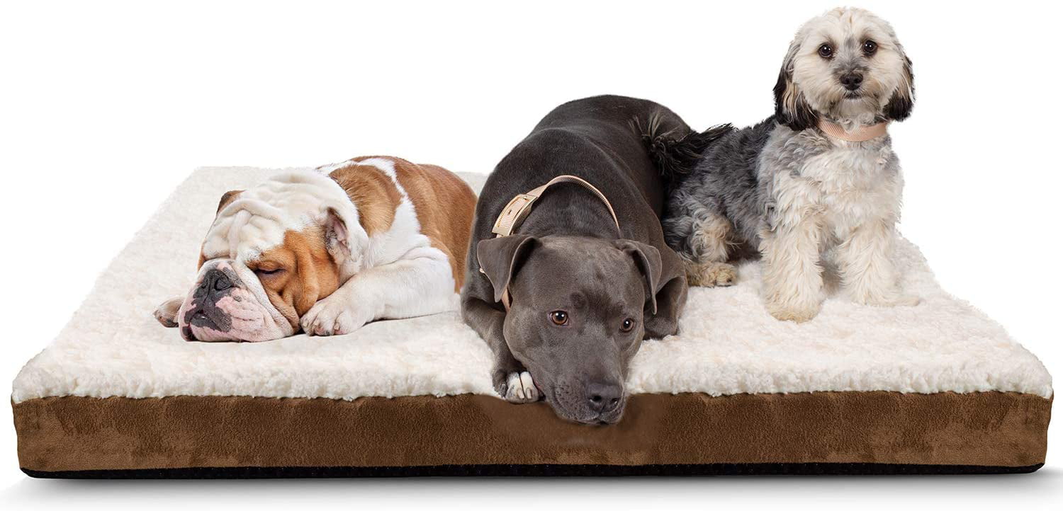 Paws and Pals Orthopedic Pet Bed Foam-Mattress Dogs and Cats (Medium 30 Long x 20 Wide)