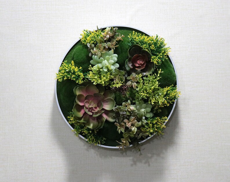 Artificial Succulent And Plant Wall Art, Fake Succulents In Frame, Fra