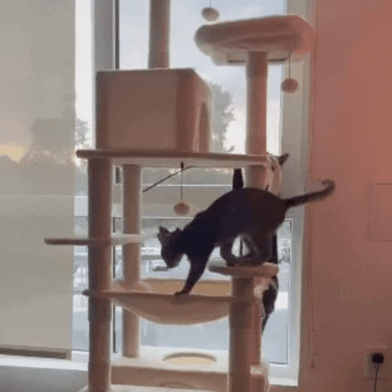 Modern Cat Tower with Scratching Posts | Luxury Multi-Level Cat Tree