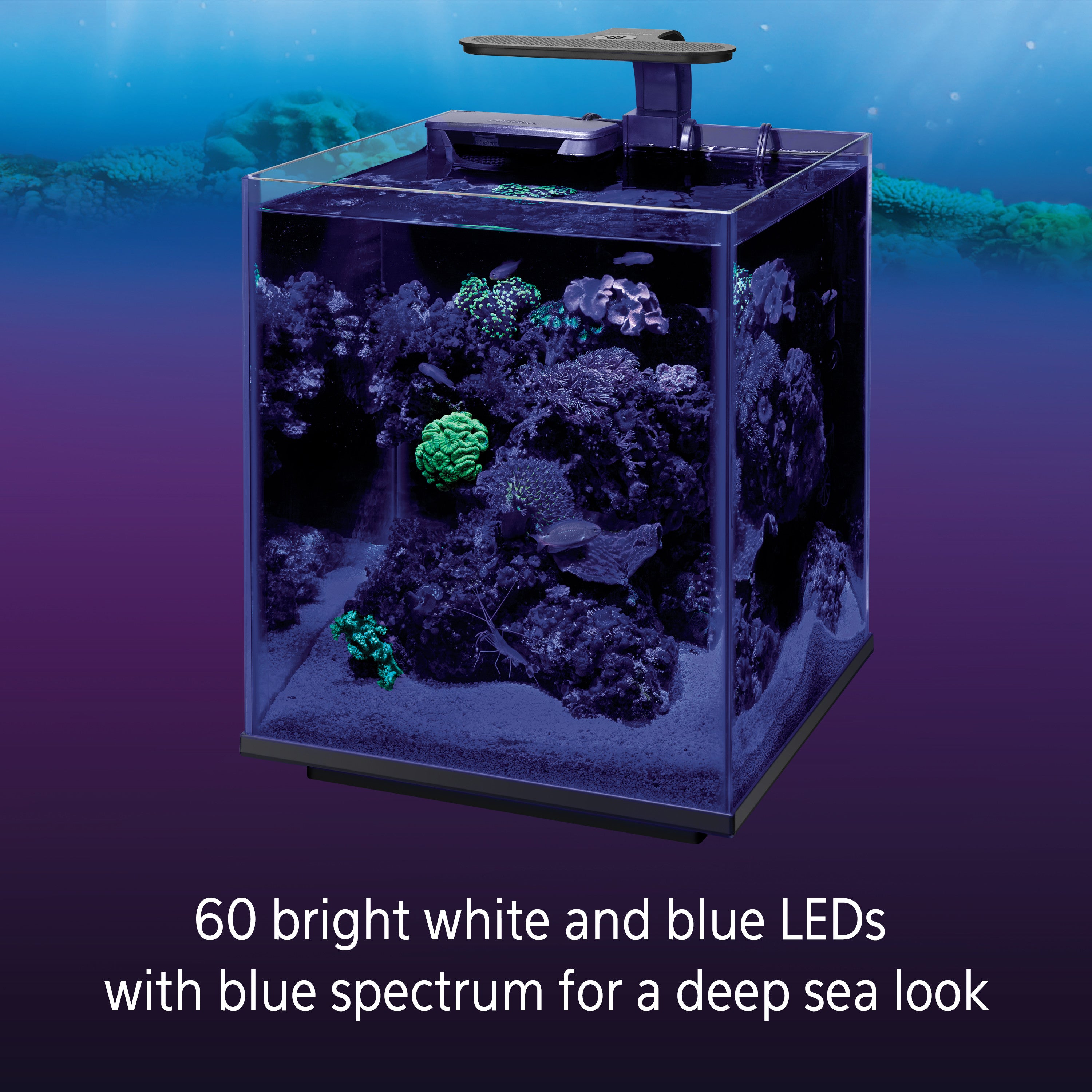 Coralife Clip-On Marine Aquarium LED Light Fixture