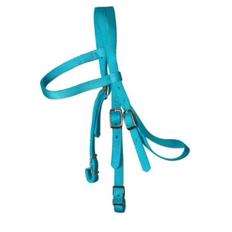 Triple E Nylon Mini Headstall w/Conway Buckles Tur