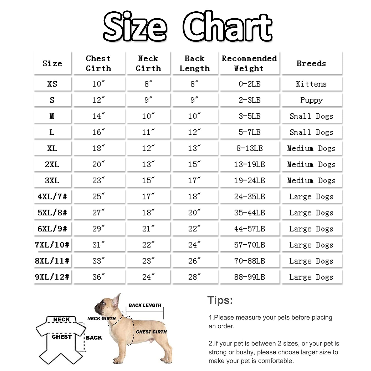 BT Bear Dog Hoodie Sweaters， Dog Winter Clothes， Pet Hooded Sweatershirt Pullover， Dog Outfit Coat Apparel for Small Medium Large Dogs Green XS