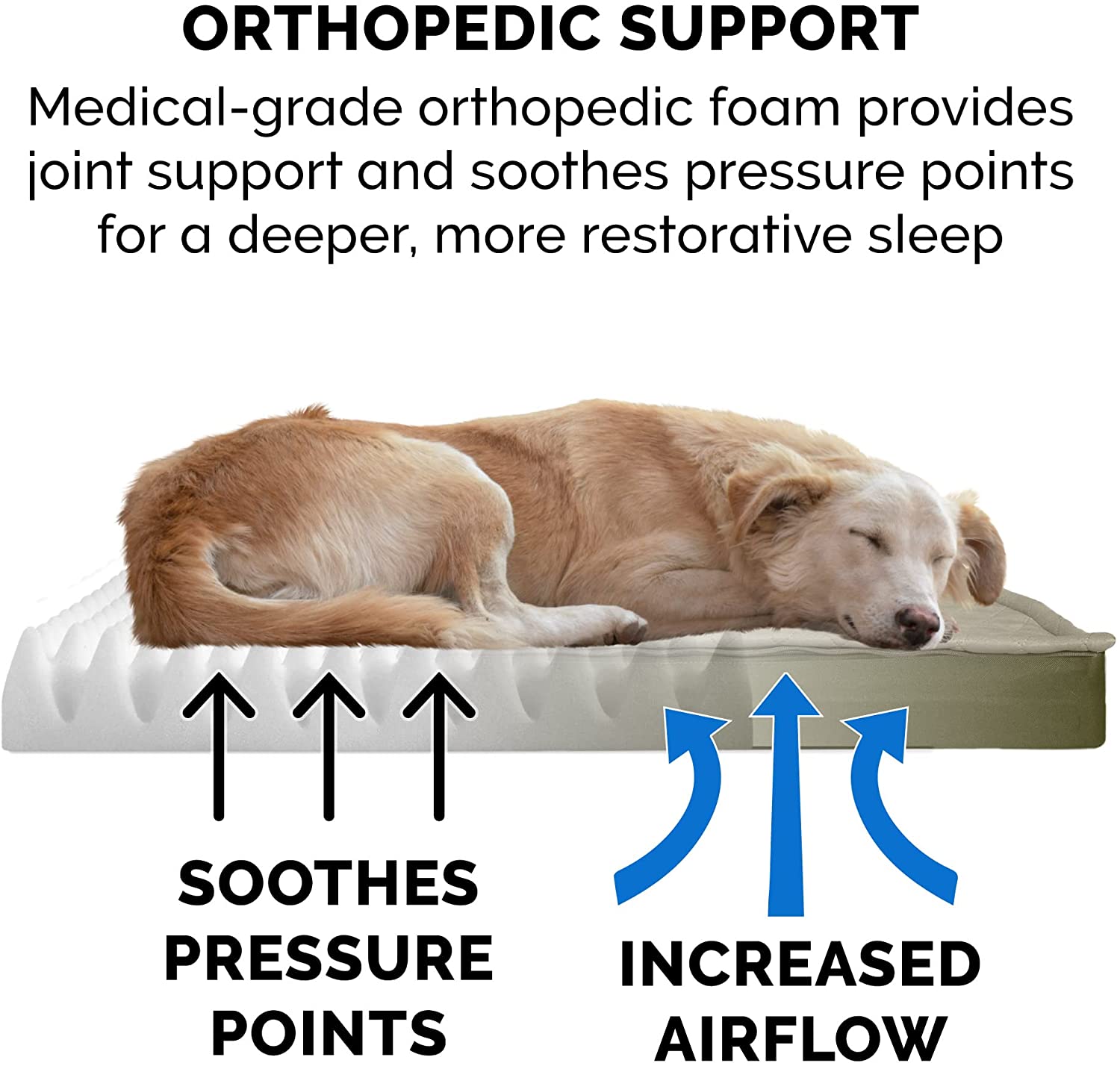 Furhaven Large Orthopedic Dog Bed Water-Resistant Indoor/Outdoor Quilt Top Convertible Mattress w/ Removable Washable Cover - Dark Sage， Large Convertible Quilt Top (Dark Sage) Large Orthopedic Foam