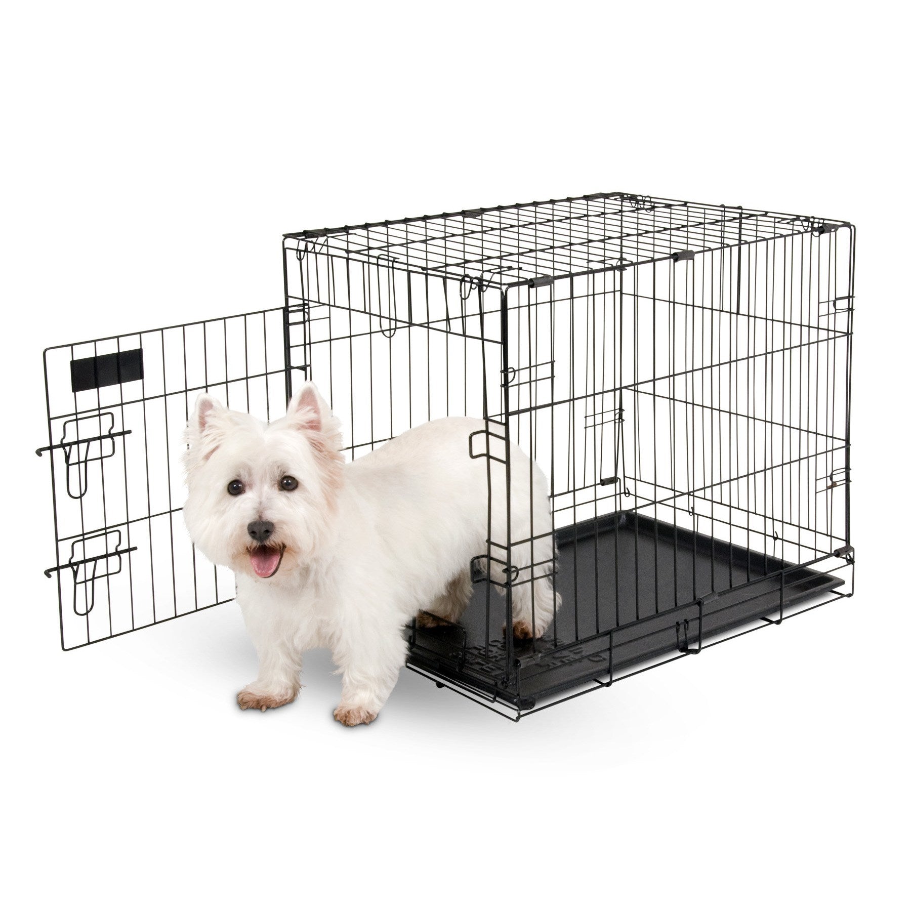 Aspen Pet Wire Home Training Dog Kennel