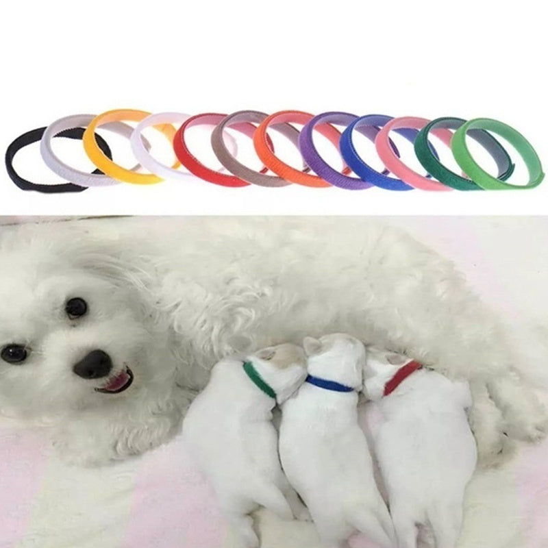 AkoaDa 12Pcs\/Pack Pet Collars Different Colors Soft Identification Mark For Cats Dogs Puppies Kitty Kitten Collars Leads Creative