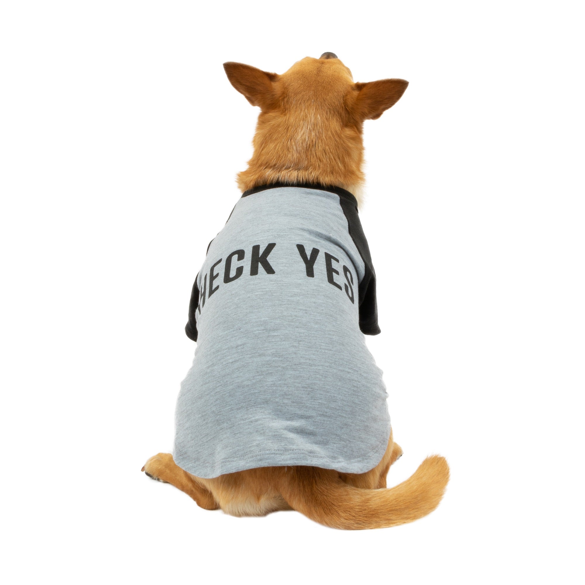 Vibrant Life Gray Heck Yes Pull Over Raglan Tee Shirt for Dogs， Size XXSmall