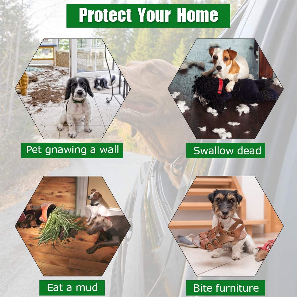 Bestpet Crate Cage Kennel for Large and Medium Dogs， Heavy Duty， 48 Inches