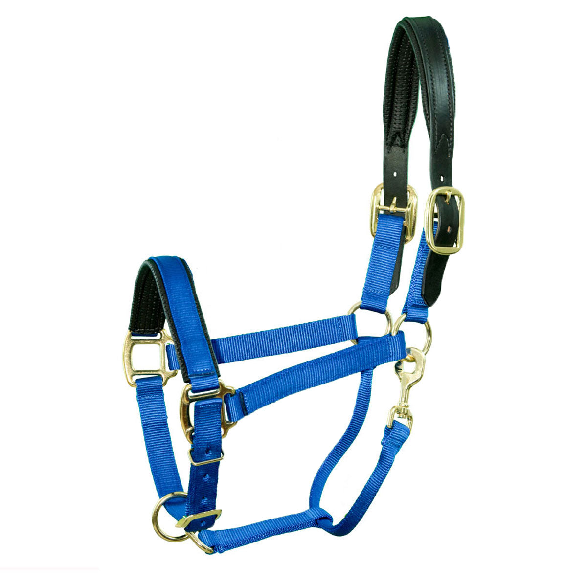 HALTER O/S 11-16 W/NOSE PAD BLUE