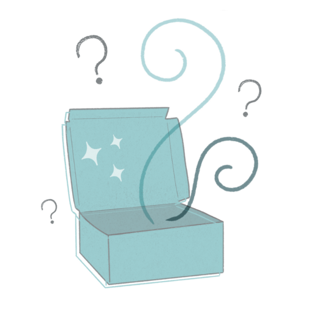 Maileg Christmas Mystery Box