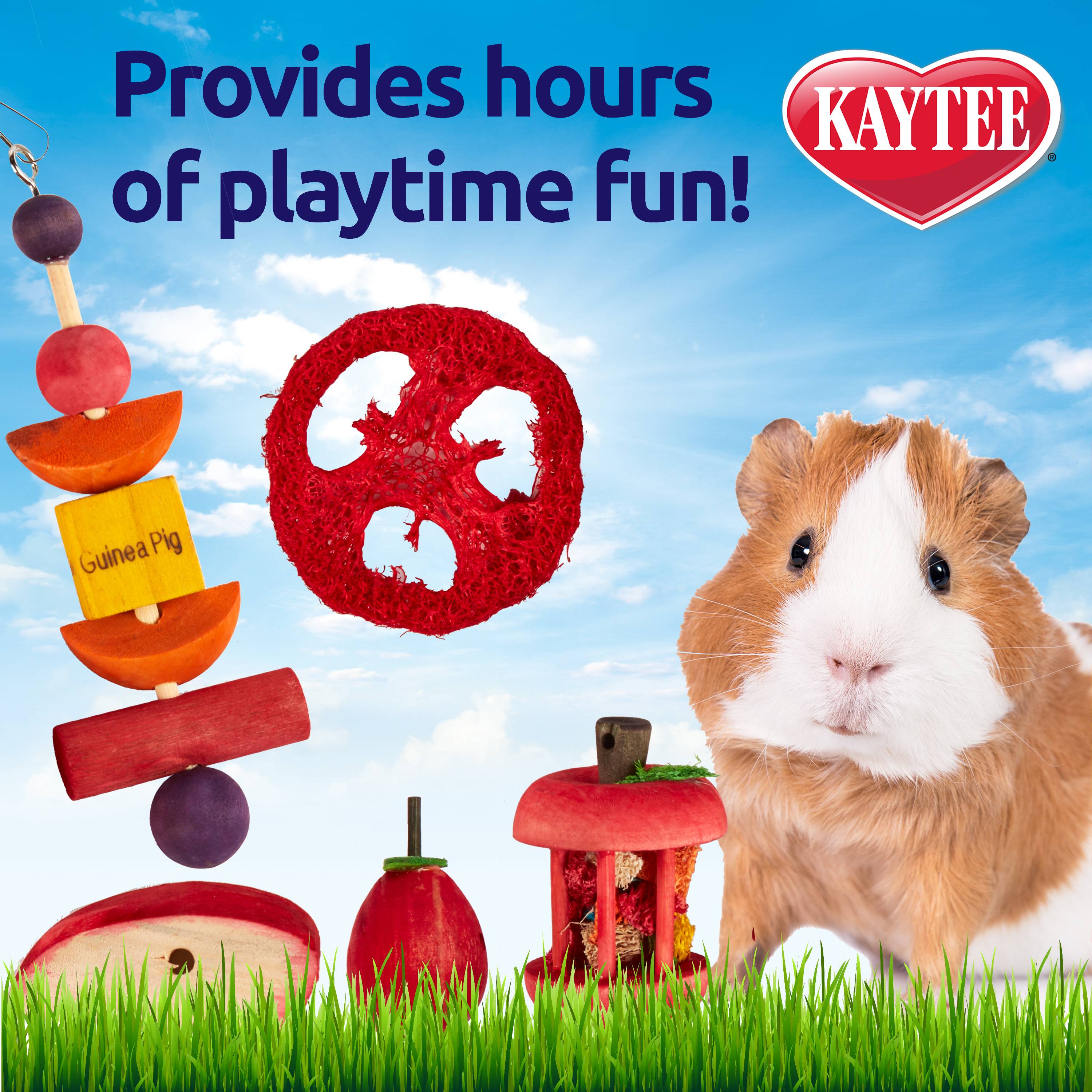 Kaytee Chew and Treat Toy Box Guinea Pig