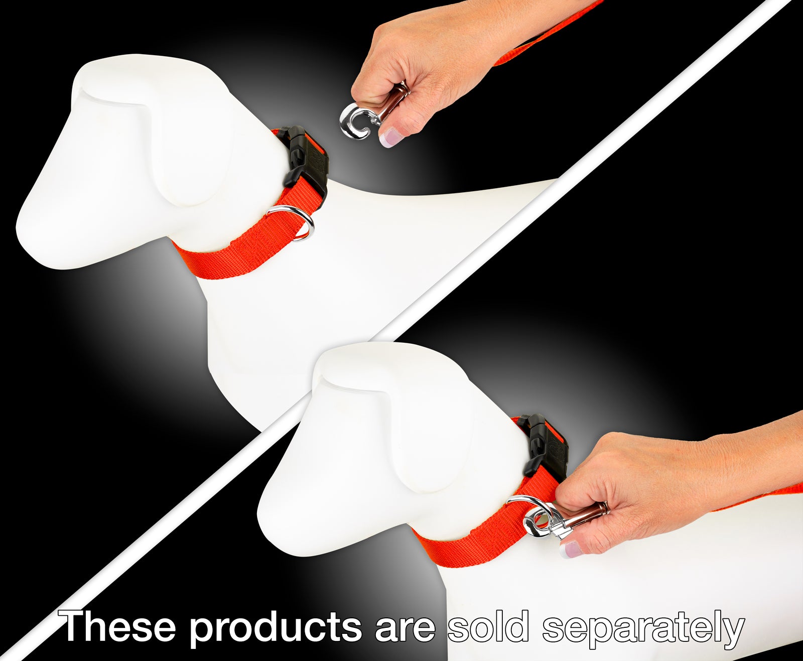 Country Brook Petz® 3/4 inch Nylon Dog Leash - Hot Orange， 6 Foot