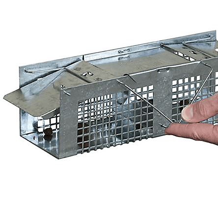Havahart X-Small 2-Door Small Animal Trap