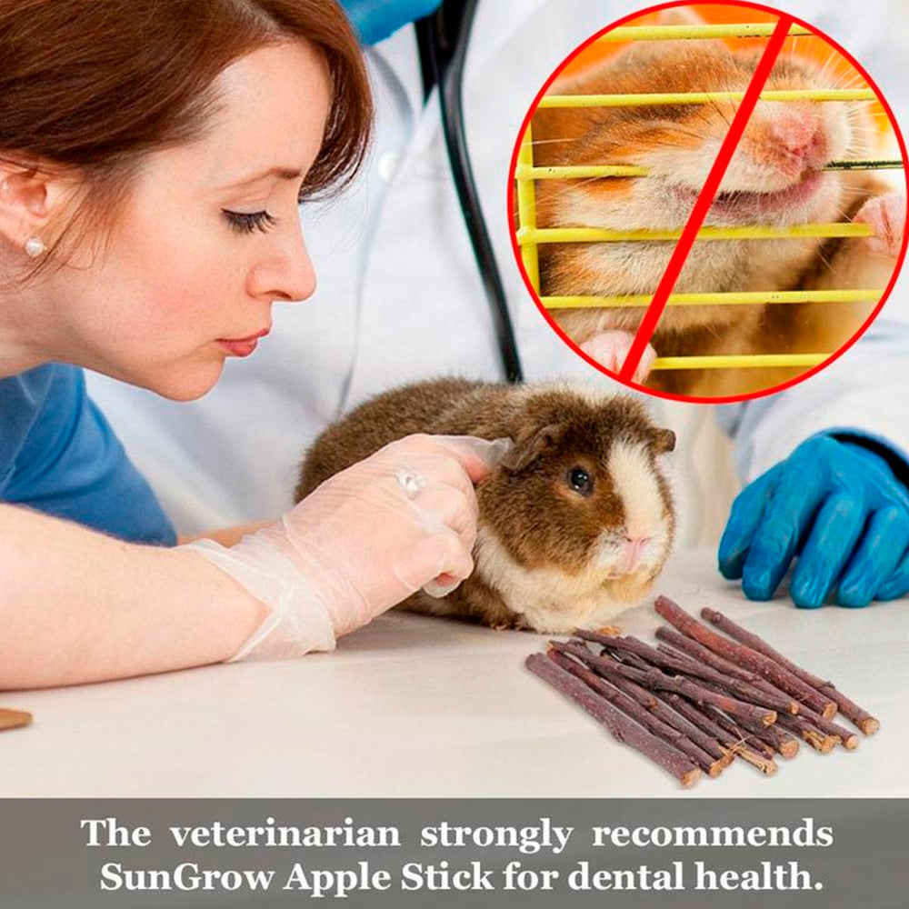 Willstar Wooden Hamster Chew Toy Set Gerbil Rabbit Guinea Pig Pet Playing Sports Accessories Dental Care