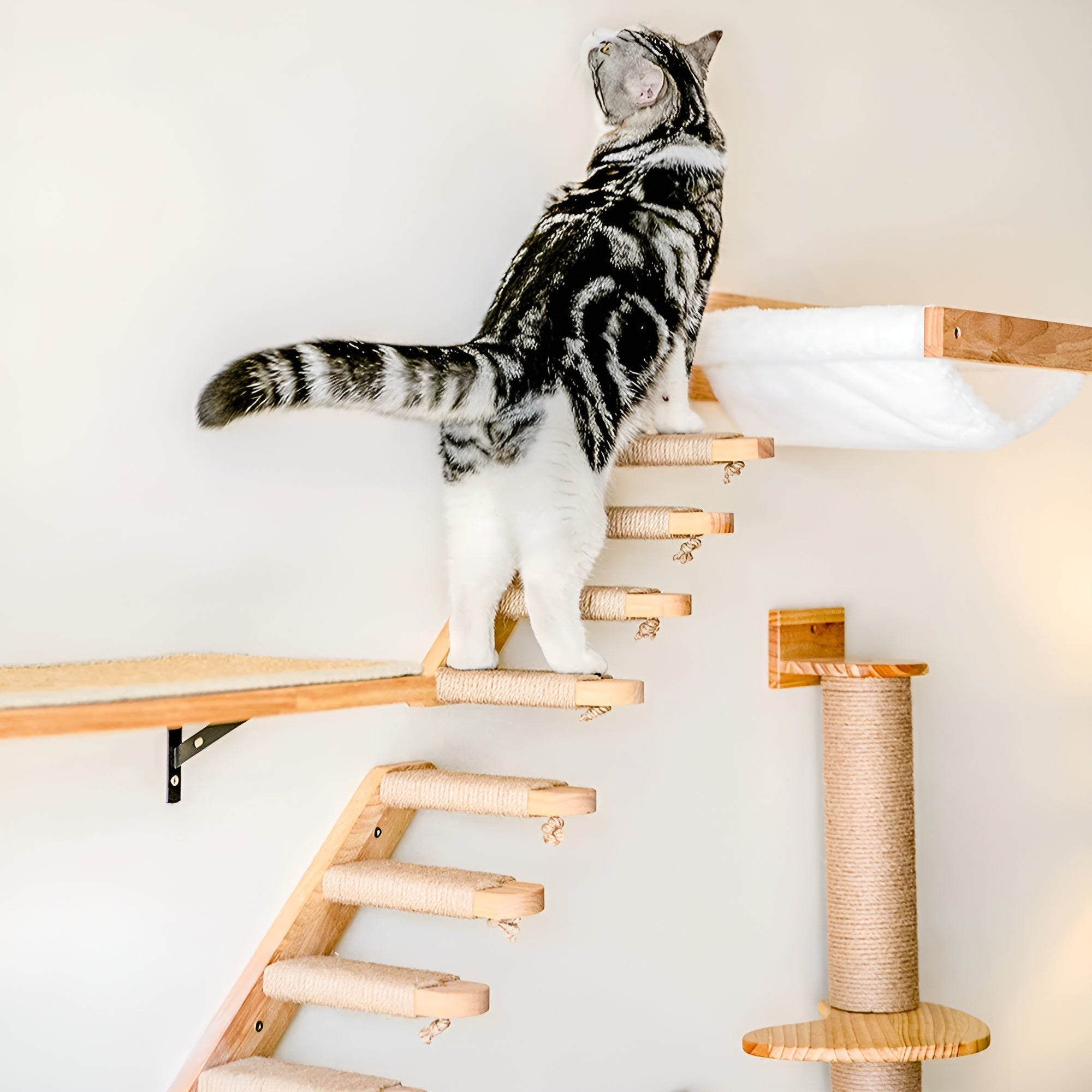 PurrMount Board | Wall-Mounted Cat Climbing Shelf with Scratching Post