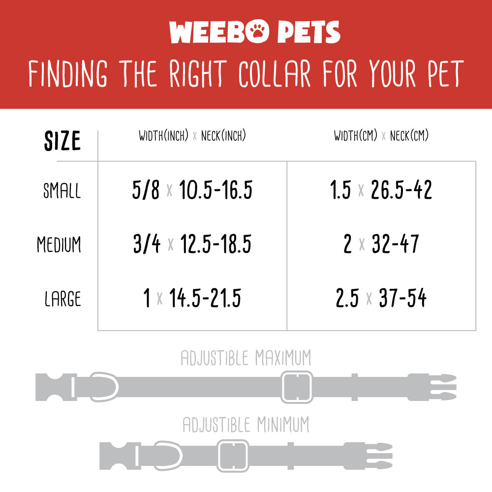 BrybellyHoldings ACLR-004 Small Adjustable Reflective Dog Collar - Pink