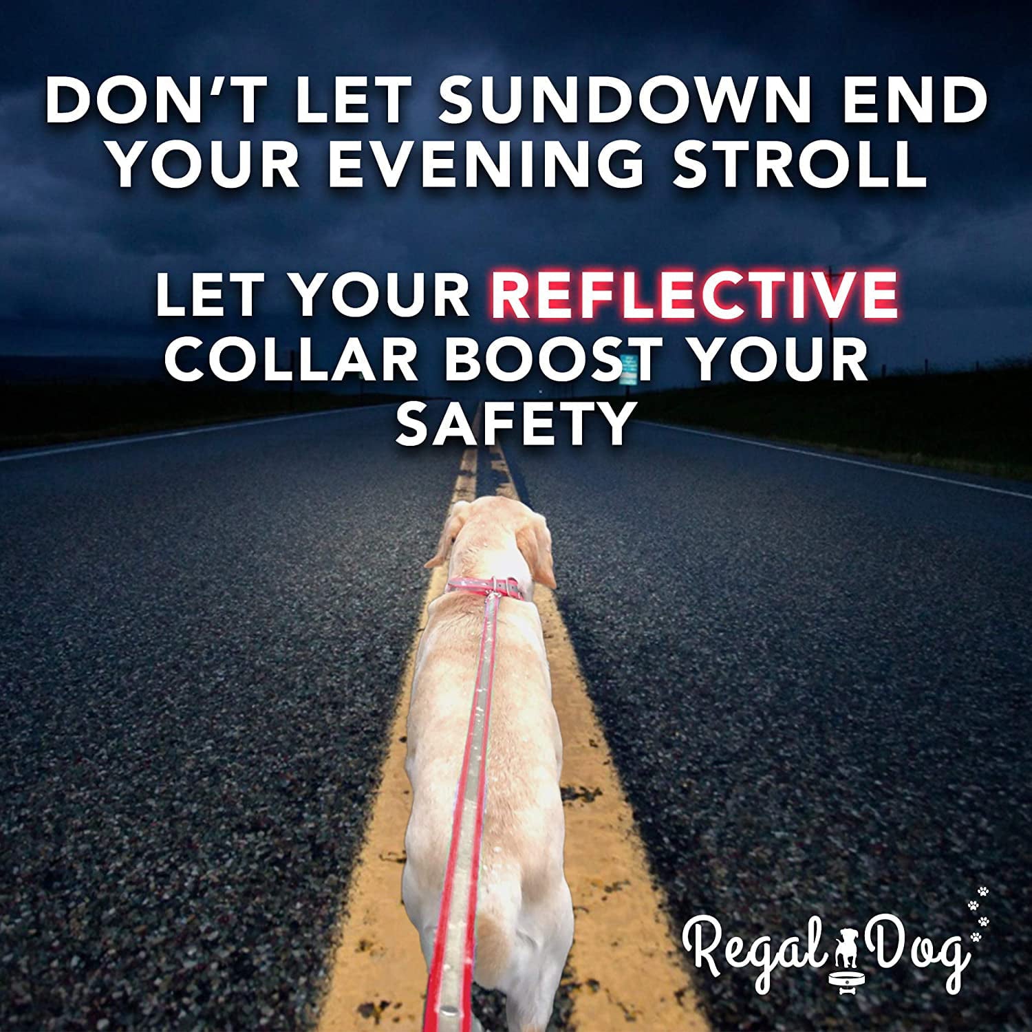 Heavy Duty Reflective Dog Collar – Adjustable Dog Collar with Durable Metal Buckle and D Ring， Chew Resistant Waterproof Dog Collar