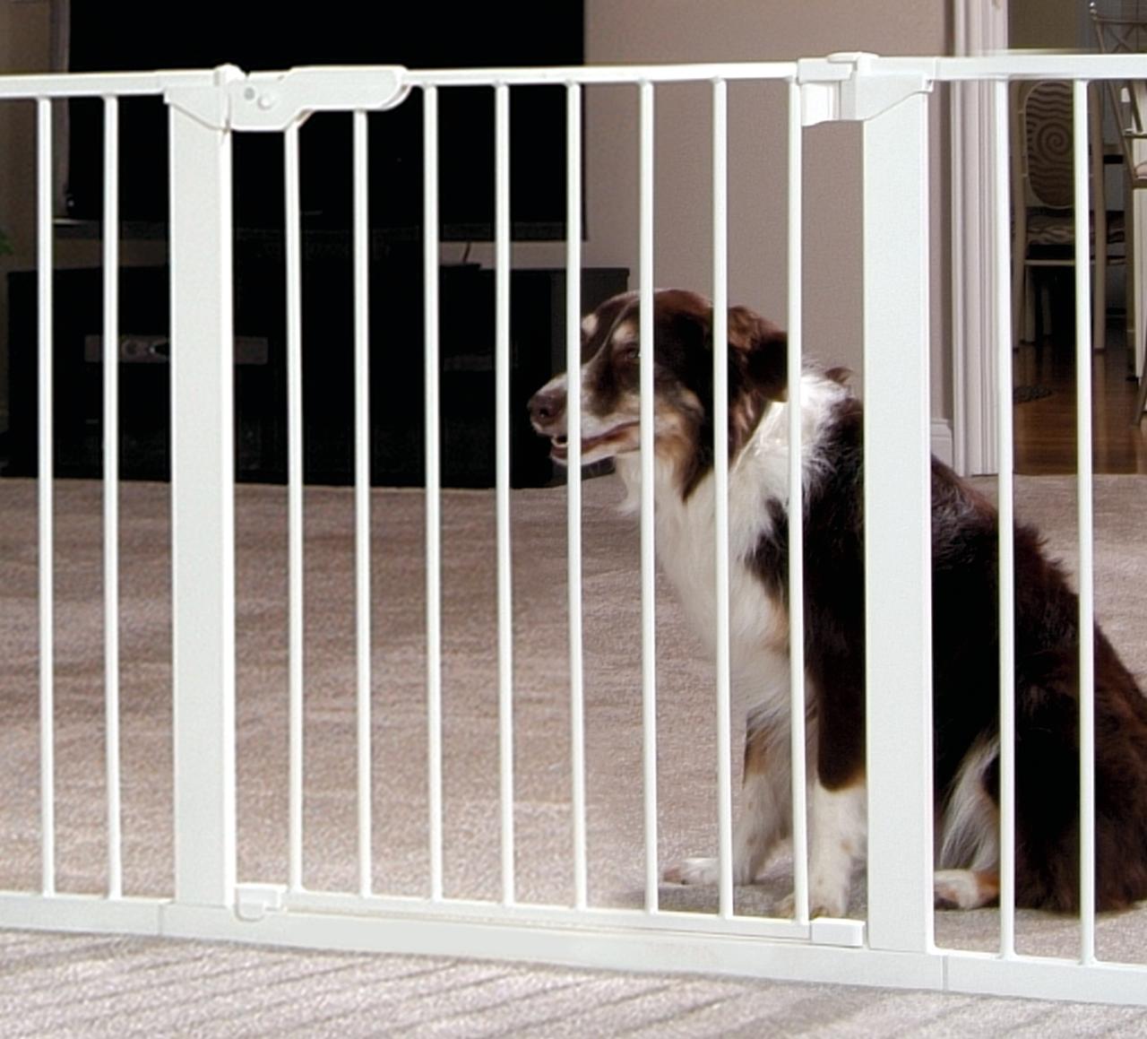 Command Pet PG5142 28.75 x 1.75 x 42 in. Tall Pressure Gate