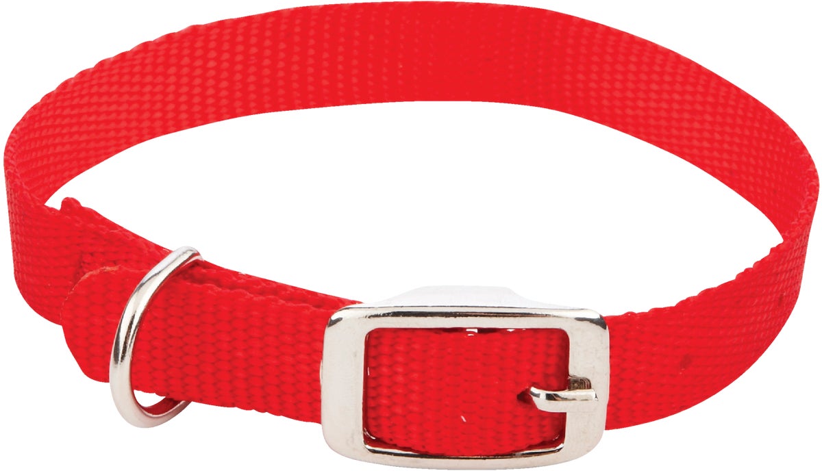 Westminster Pet Ruffinand#039 it Nylon Dog Collar Black Red Blue