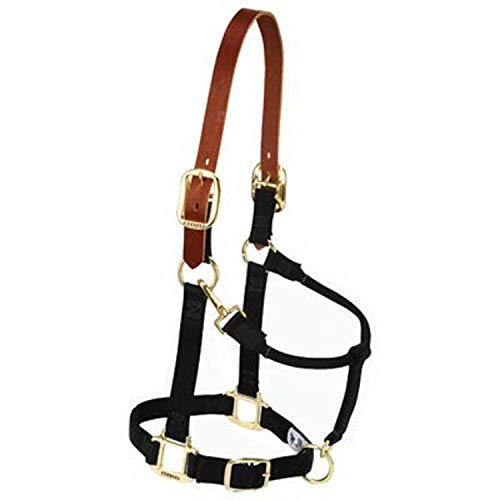 Weaver Leather Nylon Adjustable Breakaway Horse Halter， Large， Navy