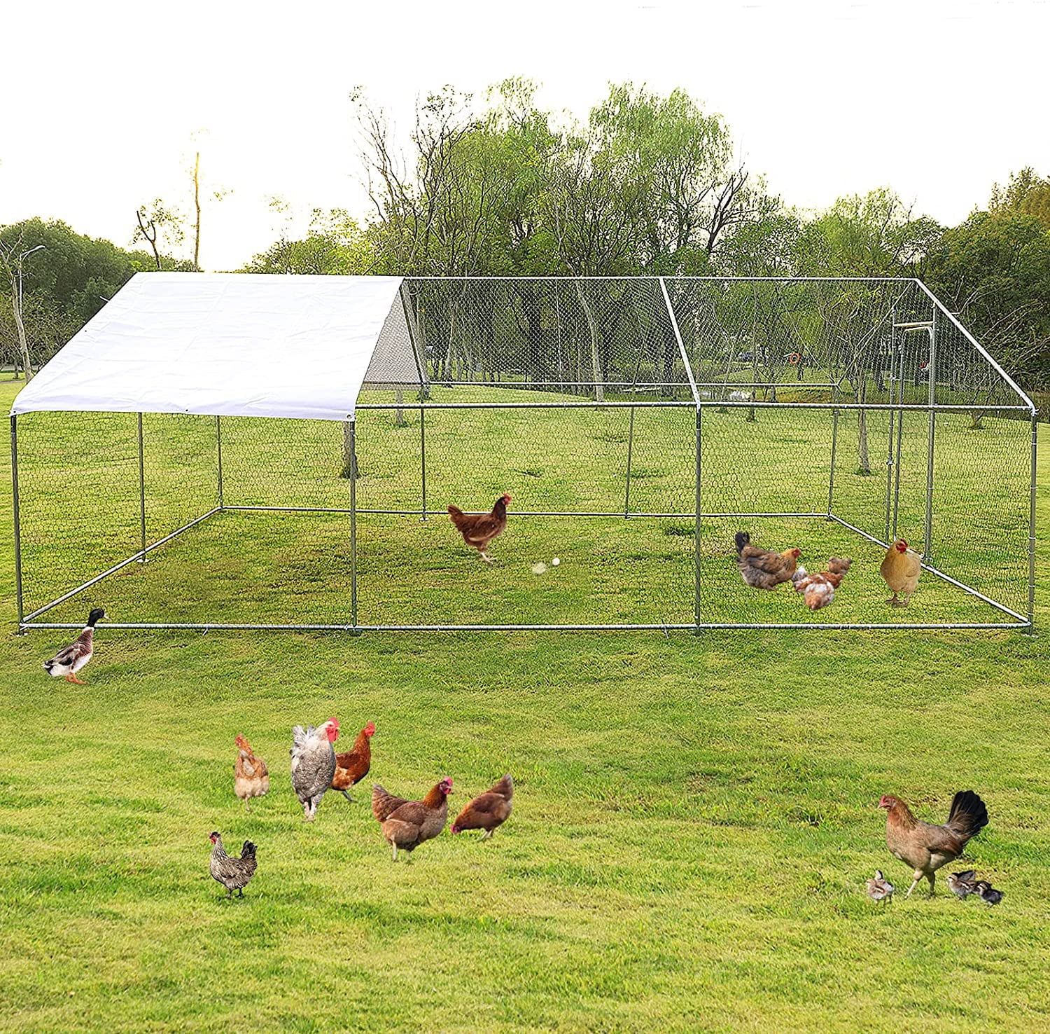Magic Union Large Metal Chicken Coop Backyard Hen House Cage Run Outdoor Cage， 20x10 ft