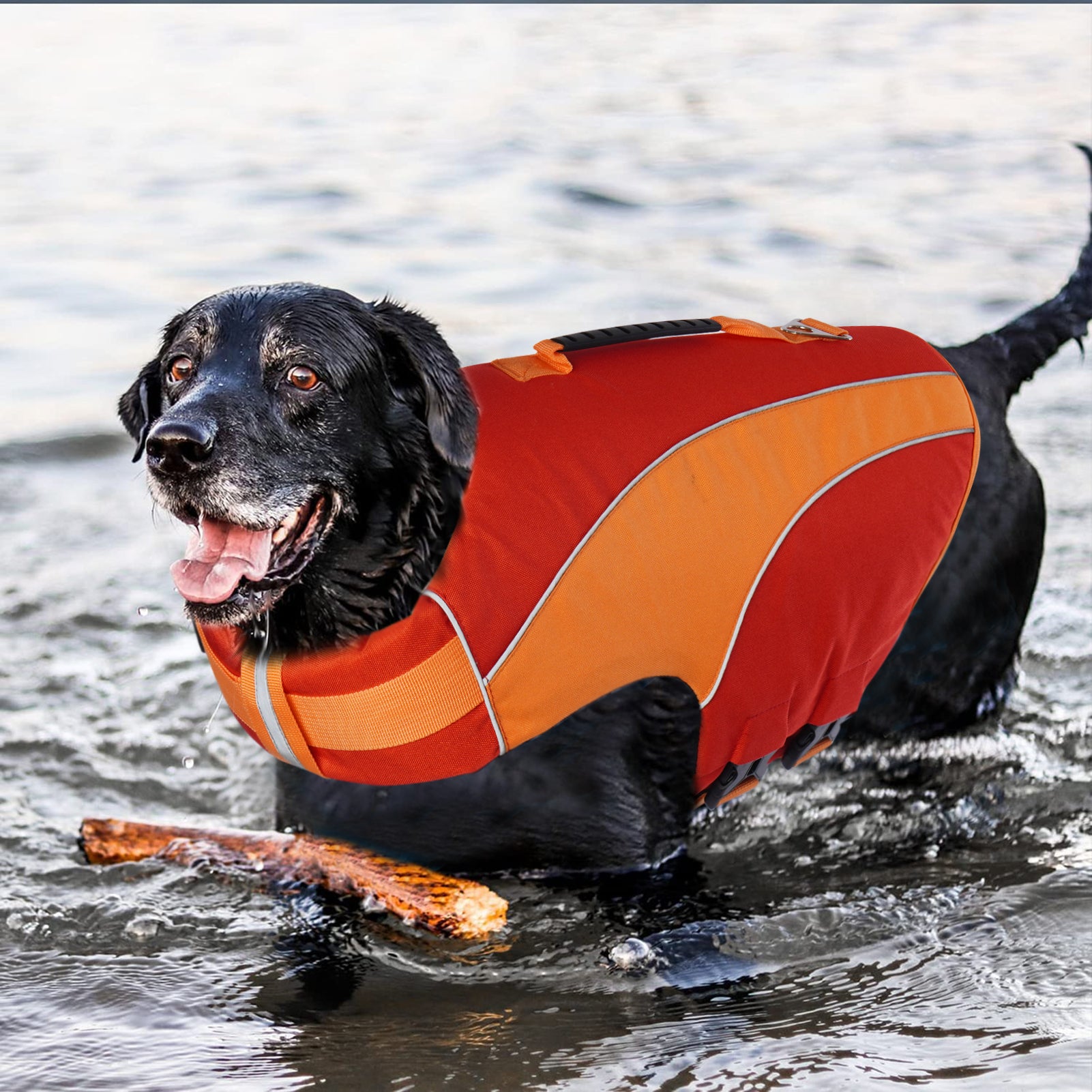 Queenmore Dog Life Jacket Pet Life Safety Vest for Swimming with Reflective Stripes/Adjustable Belt， High Buoyancy and Durable Rescue Handle for Small Medium and Large Dogs，Orange