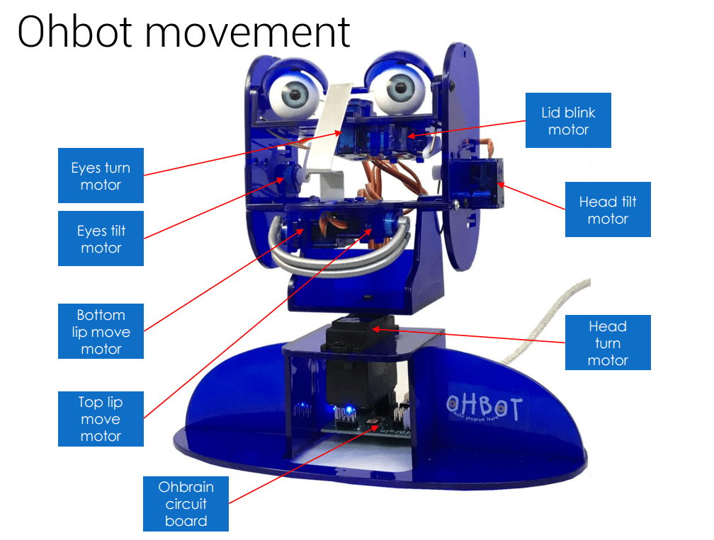 Ohbot 2.1 Assembled (MS Windows) | Programmable Robot Set， Educational Robot for Programming