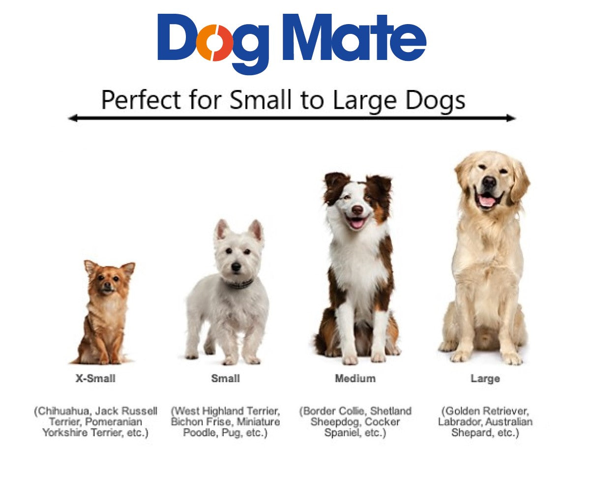 Dog Mate Large Dog Door with Locking Security Panel - White