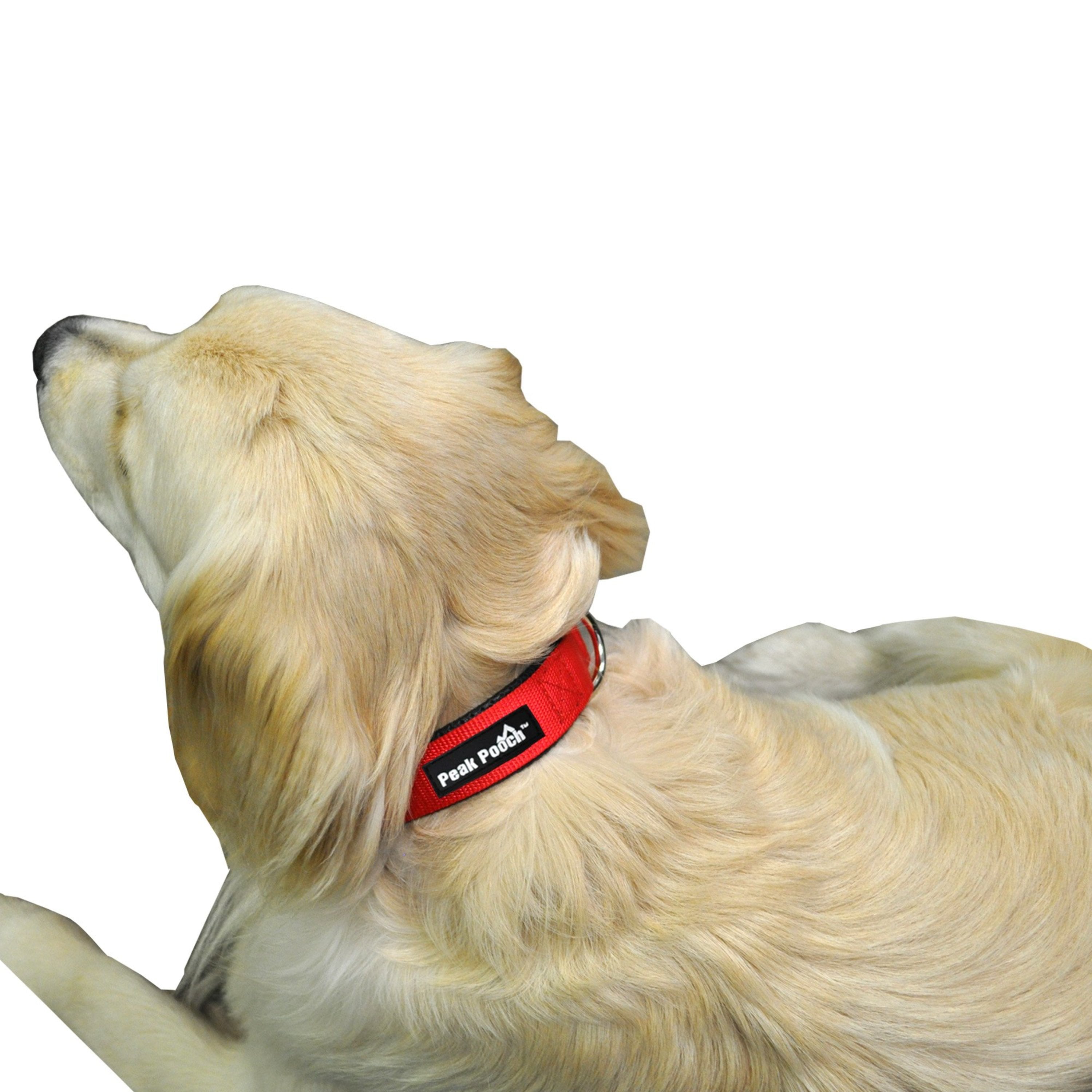 Downtown Pet Supply Dog Collars for Small Dogs Quick Release Dog Collar Blue， S