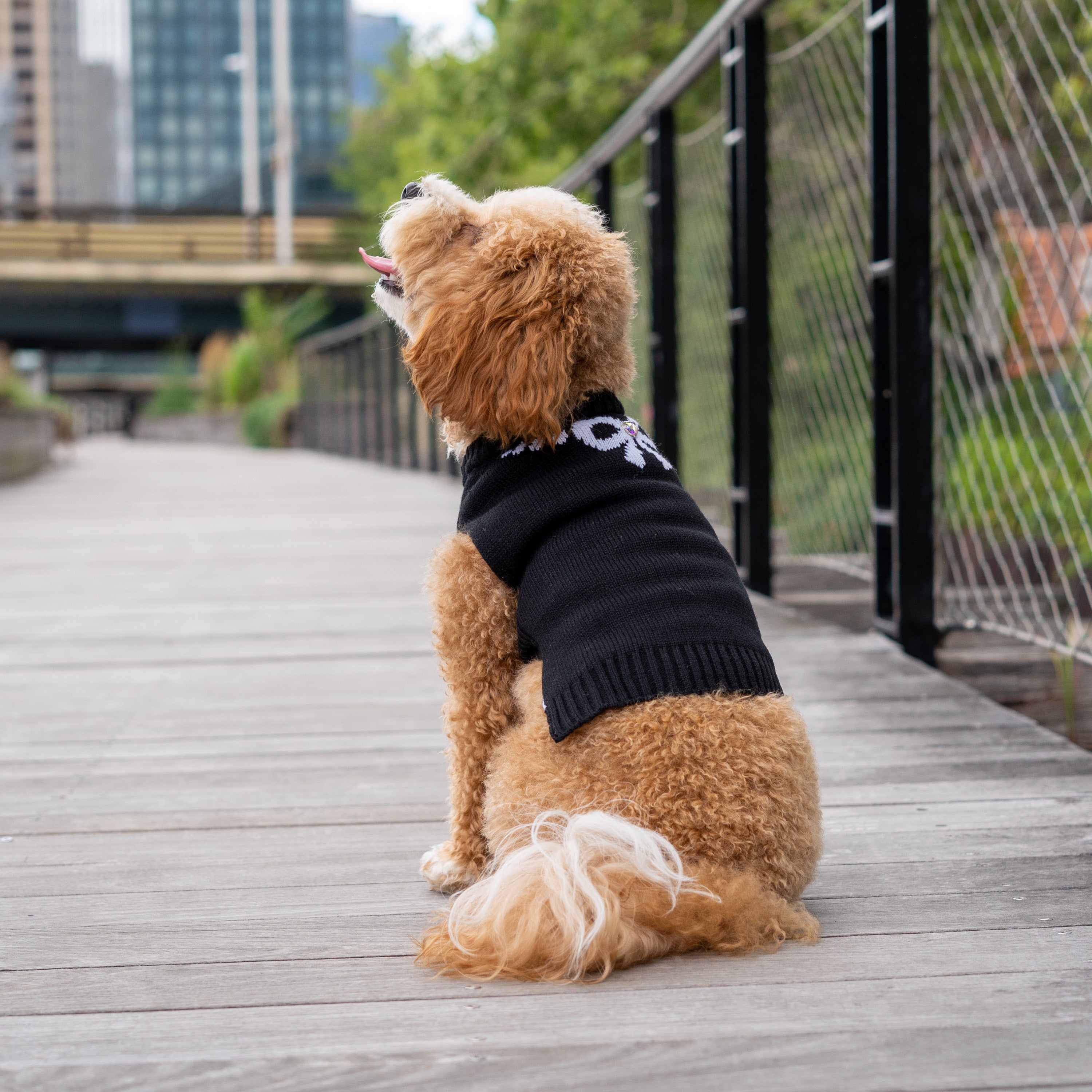 Christian Siriano， Dog Clothes， Bow Necklace Dog or Cat Sweater， Black， XS