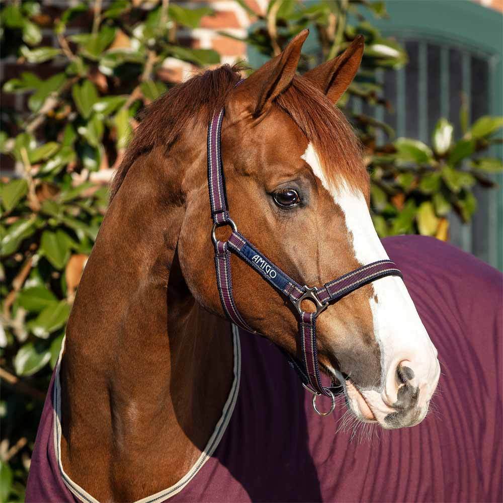 Amigo Padded Nylon Halter - Closeout， Red (Green/White/Black Trim)， Size: Horse