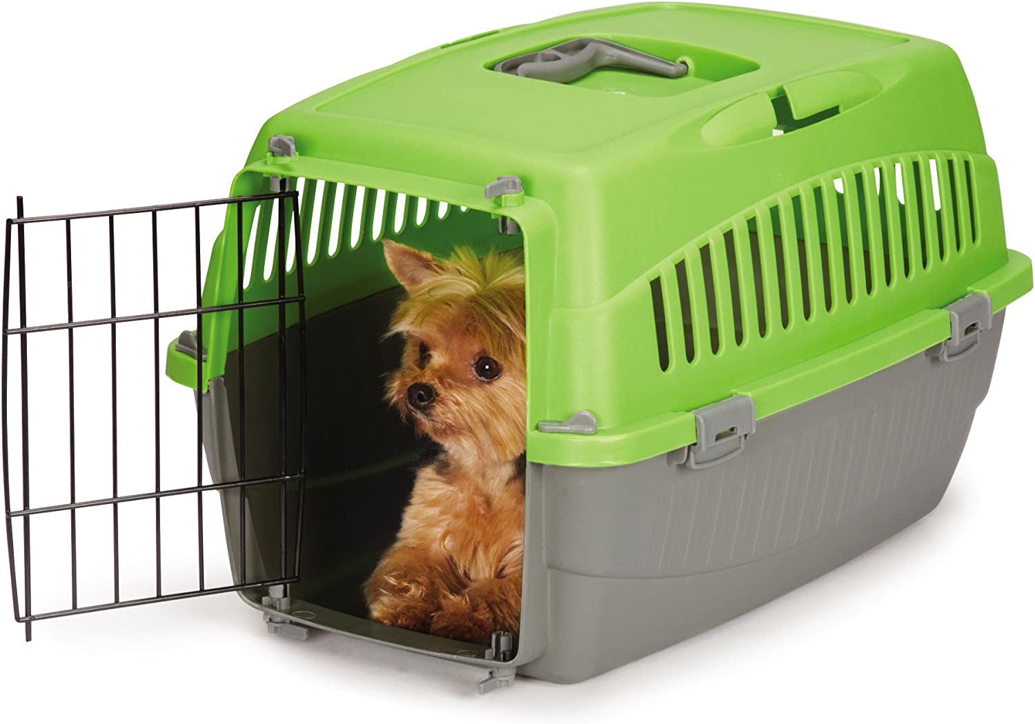 Cruising Companion Carry Me Dog Crate with Handle Small， Green
