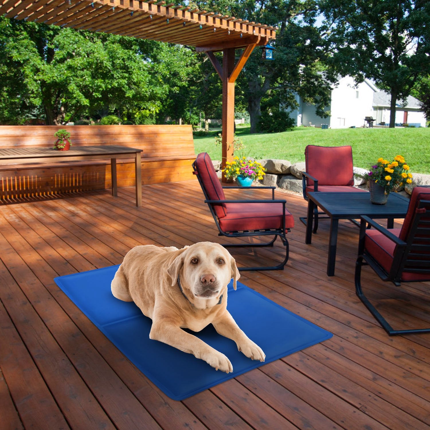 iMountek Cooling Mat For Dogs Portable Pressure Activated Gel Dog Cooling Mat No Need to Freeze Or Refrigerate for Kennels Crates Beds Car Seats Keep Your Pet Cool This Summer