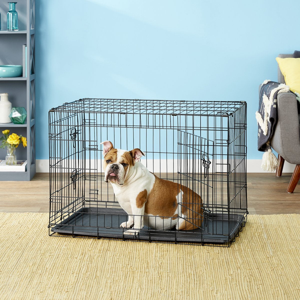 Paws and Pals Heavy Duty Foldable Double Door Dog Crate with Divider and Removable Tray (36-inch) (Medium)