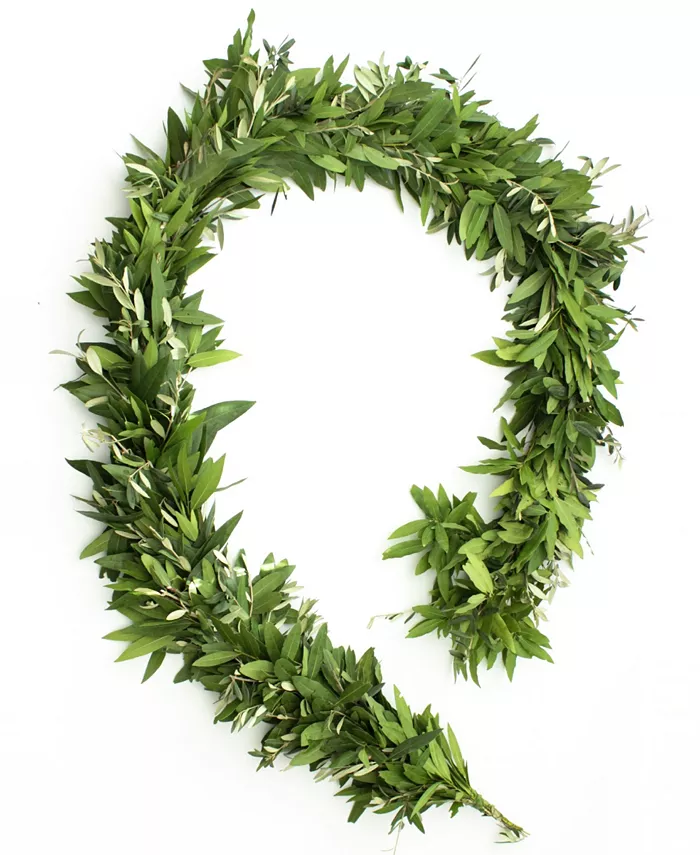 Magnolia Supply Co Fresh Bay Leaf and Olive Holiday Garland， 6'