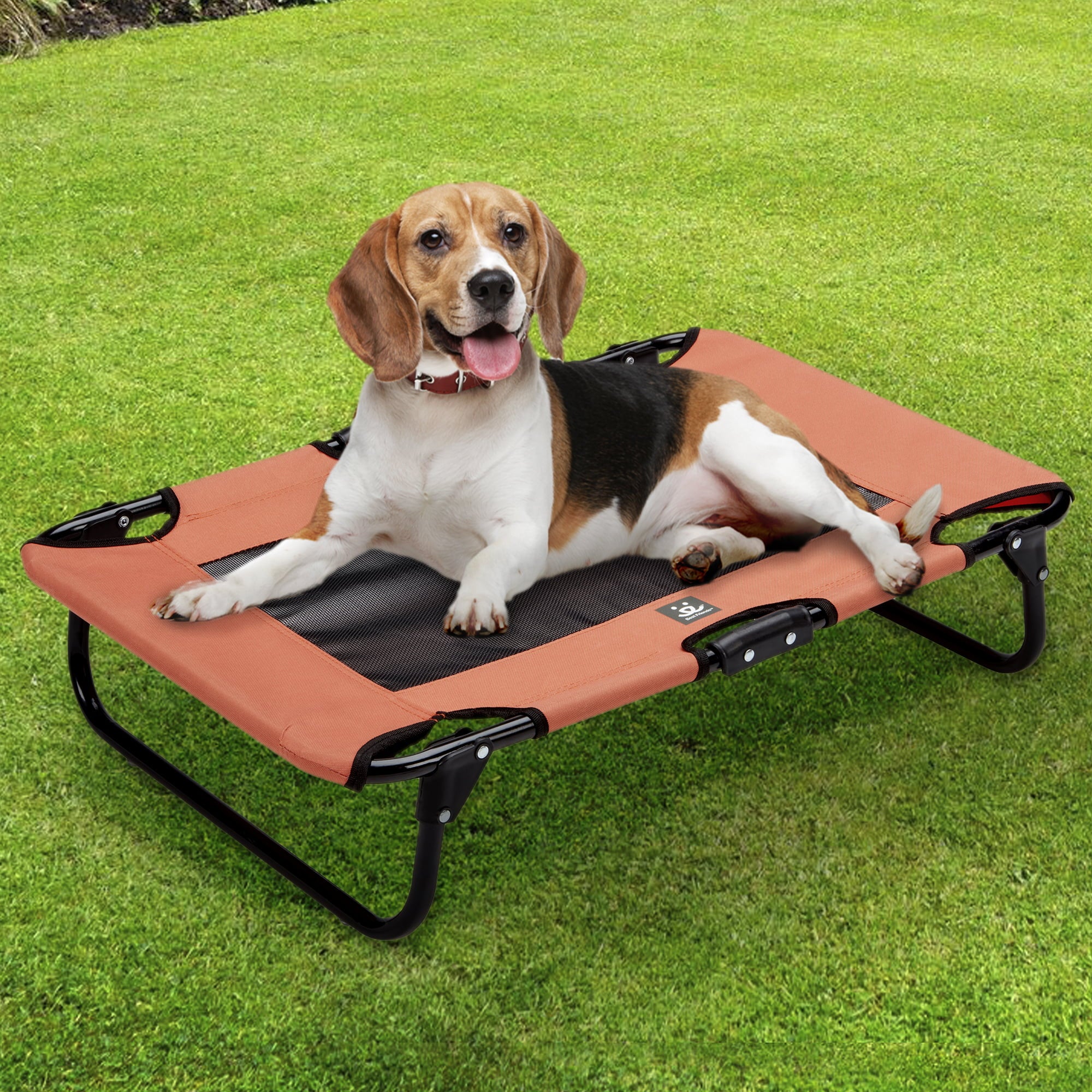 Best Friends Folding Pet Cot with Bonus Collapsible Bowl， Medium - Mesh Center for ventilation with Foldable Legs for easy travel - For pet up to 50 lbs. - Orange and Gray