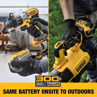 DEWALT 20V MAX 21.5 in. Battery Powered Walk Behind Push Lawn Mower with (2) 10Ah Batteries  Charger DCMWP233U2