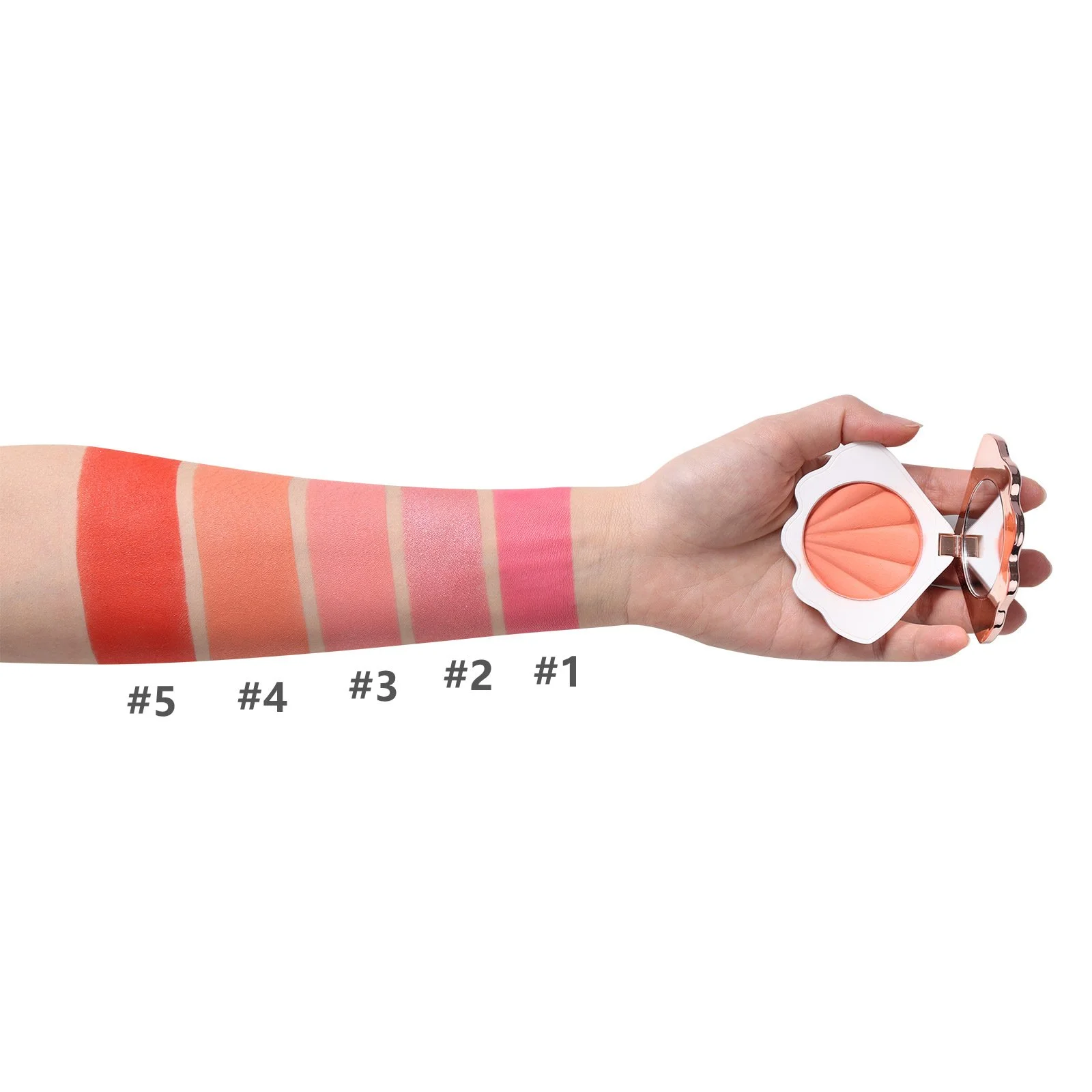 High Pigment Vegan Face Powder Makeup Blush Private Label